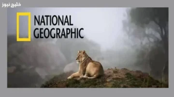 تردد قناة ناشونال جيوغرافيك 2025 يقدم محتوى علمي ملهم لكل الأجيال